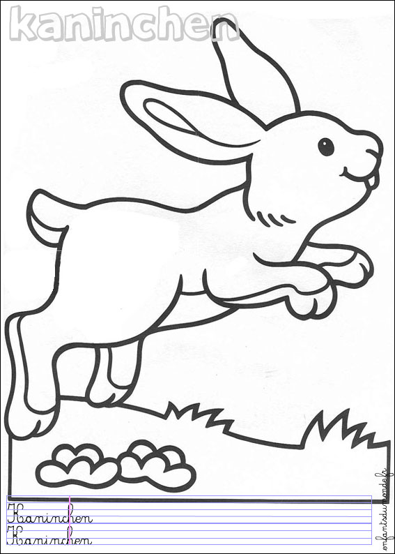coloriage lapin 2